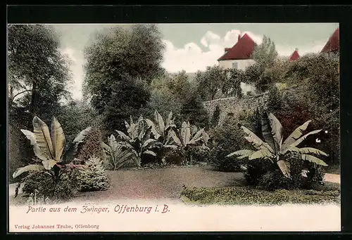 AK Offenburg i. B., Partie aus dem Zwinger