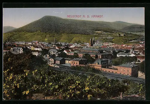 AK Neustadt a. d. Haardt, Ortsansicht mit Bergen