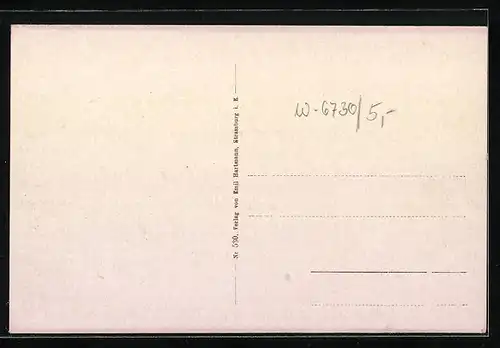 AK Neustadt a. d. Haardt, Ortsansicht mit Bergen