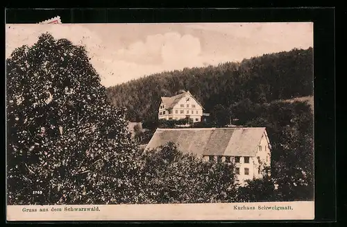 AK Schweigmatt /Schwarzwald, Kurhaus mit Wald