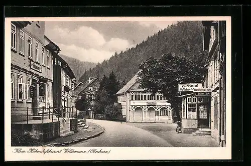 AK Wildemann /Oberharz, Strassenpartie mit Kurhotel Wilder Mann