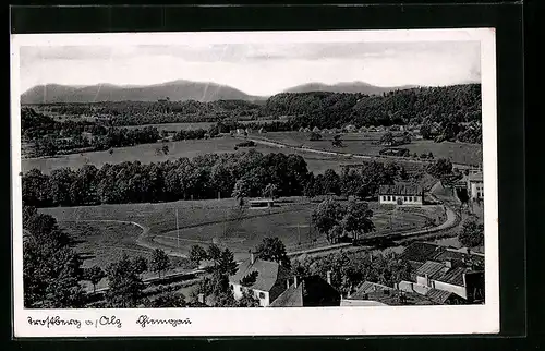 AK Trostberg a. Alz, Teilansicht mit Wald