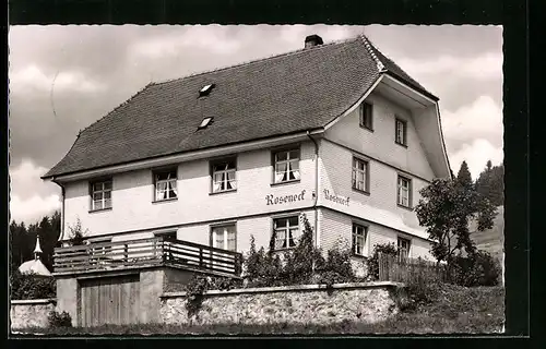 AK Titisee /Schwarzwald, Pension Haus Roseneck von Josef Willmann