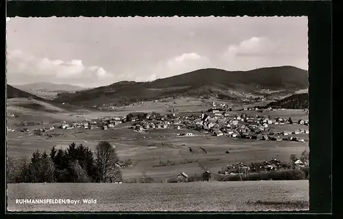 AK Ruhmannsfelden /Bayr. Wald, Teilansicht