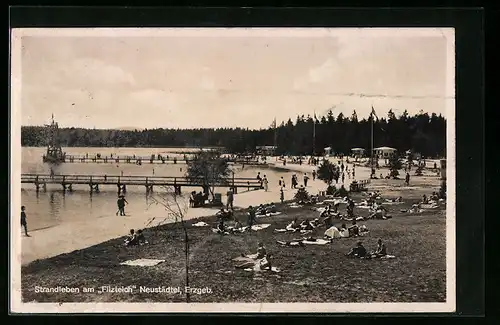 AK Neustädtel /Erzgeb., Strandleben am Filzteich