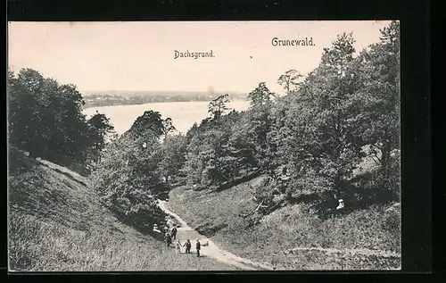 AK Berlin-Grunewald, Dachsgrund