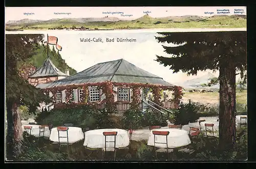 AK Bad Dürrheim, Gaststätte Wald-Cafe G. Schmidt mit Garten, Bergpanorama