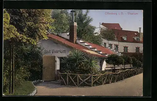 AK Offenburg i. B., Städt. Vivarium