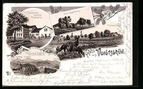 Lithographie Voigtsgrün i. Vogtland, Trautners Gasthof, Zum Jägerhorn, Tiergarten mit Hirsch und Rehen