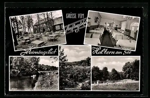 AK Haltern am See, Gasthaus Heimingshof, Innenansicht Gesellschaftsraum, Garten