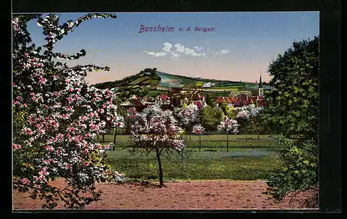 AK Bensheim a. d. Bergstr., Teilansicht bei Baumblüte