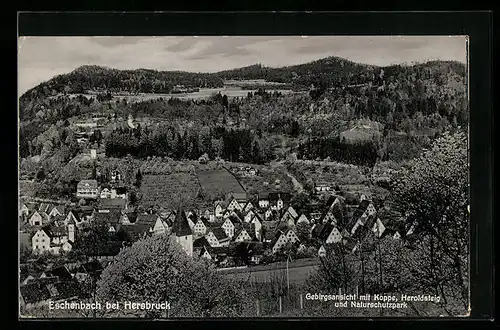 AK Eschenbach bei Hersbruck, Gebirgsansicht mit Koppe, Heroldsteig und Naturschutzpark