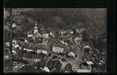 AK Berneck i. Fichtelgebirge, Blick auf den Ort