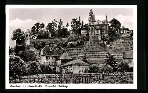 AK Neustadt a. d. Weinstrasse, Blick zum Haardter Schloss