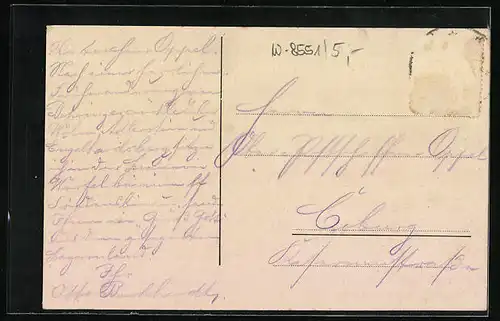 AK Muggendorf /Fränk. Schweiz, Ortsansicht aus der Vogelschau