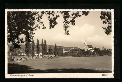 AK Hammelburg a. d. Saale, Blick auf den Ort
