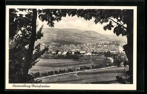 AK Hammelburg /Mainfranken, Ortsansicht aus der Ferne