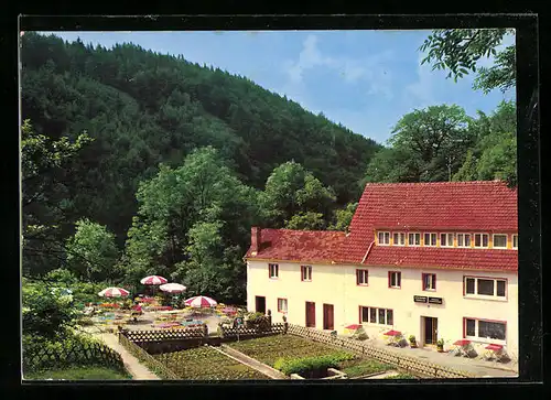 AK Schlehenmühle /Forchheim, Gasthaus-Pension Friedrich