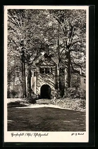 AK Henfenfeld /Mfr., Das Schlossportal