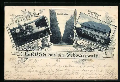 AK Rothhaus /Schwarzwald, Waldparthie, Schlüchtsee, Kurhaus Rothhaus v. Franz Winter