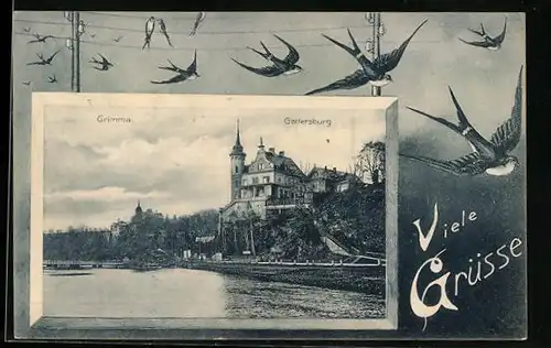 AK Grimma, Blick auf die Gattersburg, Schwalben