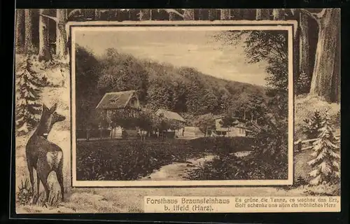 AK Ilfeld /Harz, Forsthaus Braunsteinhaus