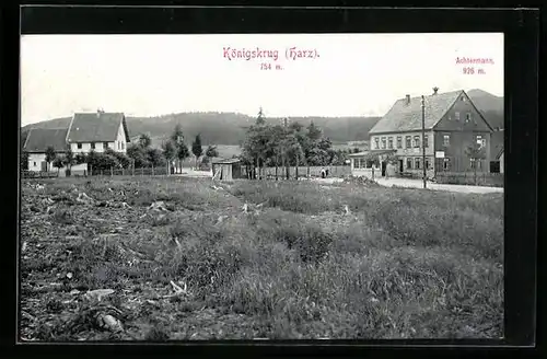 AK Königskrug /Harz, Ortsansicht mit Achtermann