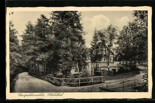 AK Eisenberg i. Thür., Waldhaus Naupoldsmühle im Mühltal, Bes. K. Lätsch