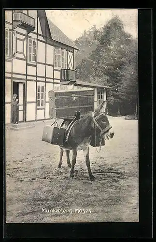 AK Vejle, Munkebjerg Moses