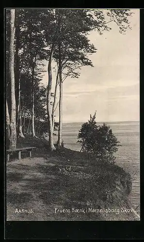 AK Aarhus, Fruens Baenk i Marselisborg Skov