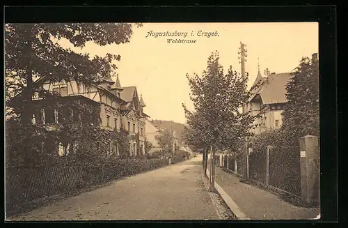 AK Augustusburg i. Erzgeb., Blick in die Waldstrasse