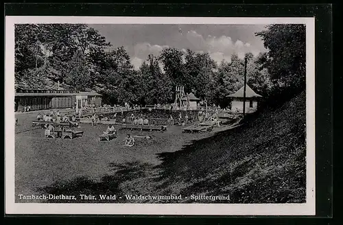 AK Tambach-Dietharz / Thür. Wald, Waldschwimmbad, Spittergrund