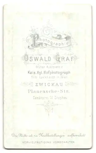 Fotografie Oswald Graf, Zwickau, Plauensche-Str., Portrait stattlicher Herr mit Vollbart