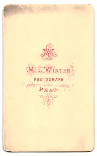 Fotografie M. L. Winter, Prag, Portrait charmanter junger Mann mit Vollbart