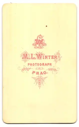 Fotografie M. L. Winter, Prag, Portrait stattlicher Herr mit Bart und Fliege im Jackett