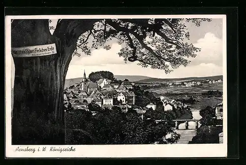 AK Arnsberg i. W., Königseiche mit Ortspanorama