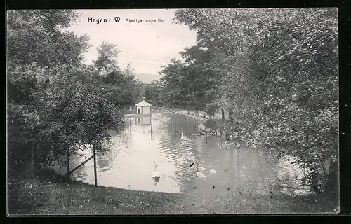 AK Hagen i. W., Stadtgartenpartie am Teich