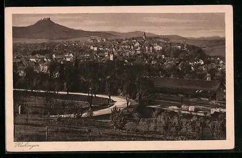 AK Hechingen, Ortsansicht aus der Vogelschau
