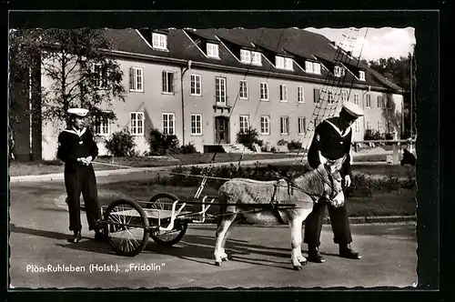 AK Plön-Ruhleben i. Holst., Esel Fridolin mit Gespann