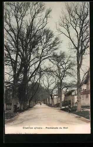 AK Chatillon-sur-Indre, Promenade du Mail