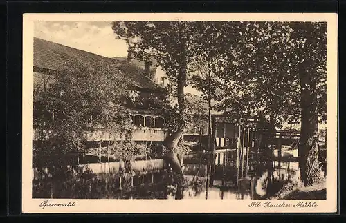 AK Landpoststempel Byhlen über Cottbus