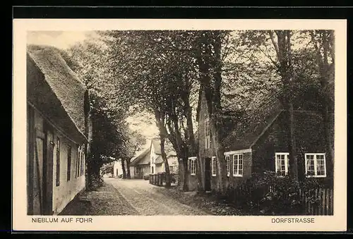 AK Nieblum / Föhr, Dorfstrasse