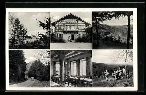 AK Annweiler am Trifels, Forsthaus Taubensuhl, Landschaftsansichten