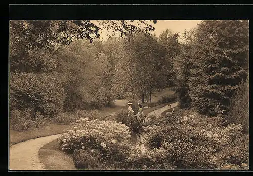 AK Hamburg, Ohlsdorfer Friedhof, Parkidylle