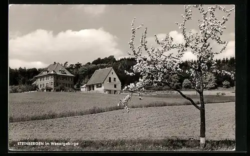AK Steinbergen im Wesergebirge, Häuserpartie
