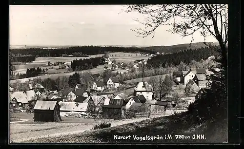 AK Vogelsgrün i. V., Panoramablick