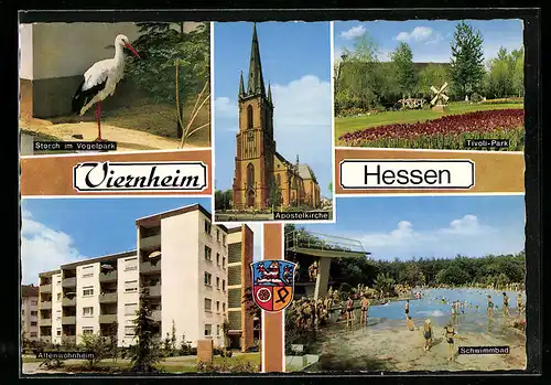 AK Viernheim i. Hessen, Storch im Vogelpark, Tivoli-Park, Schwimmbad