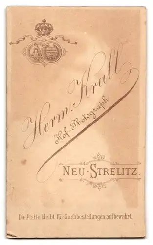 Fotografie Herm. Krull, Neu-Strelitz, Bürgerlicher Herr in elegantem Anzug