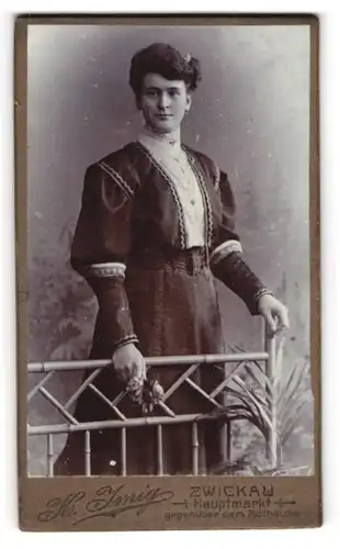 Fotografie Heinrich Imig, Zwickau i. S., Hauptmarkt 15, elegante junge Frau mit hochgestecktem Haar