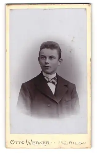 Fotografie Otto Werner, Riesa, Kastanienstr., eleganter junger Mann mit gemusterter Fliege